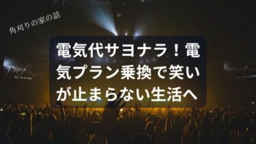電気代にサヨナラ！【お得な切替情報満載】電気プラン乗換で笑いが止まらない節約生活へ