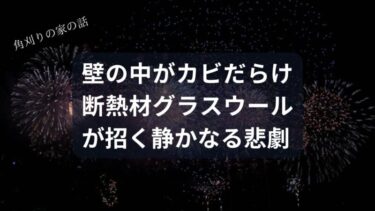【悲報】あなたの家の壁の中、カビパーティー開催中!? 大手ハウスメーカーの断熱材「グラスウール」が招く静かなる悲劇