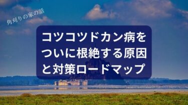 【デイトレ】コツコツドカン病、ついに根絶へ。笑って学ぶ原因と対策ロードマップ